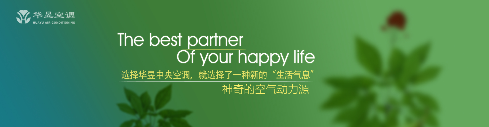 一颦一笑网
